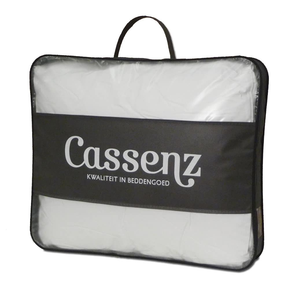Storage bag with iron frame for pillow
