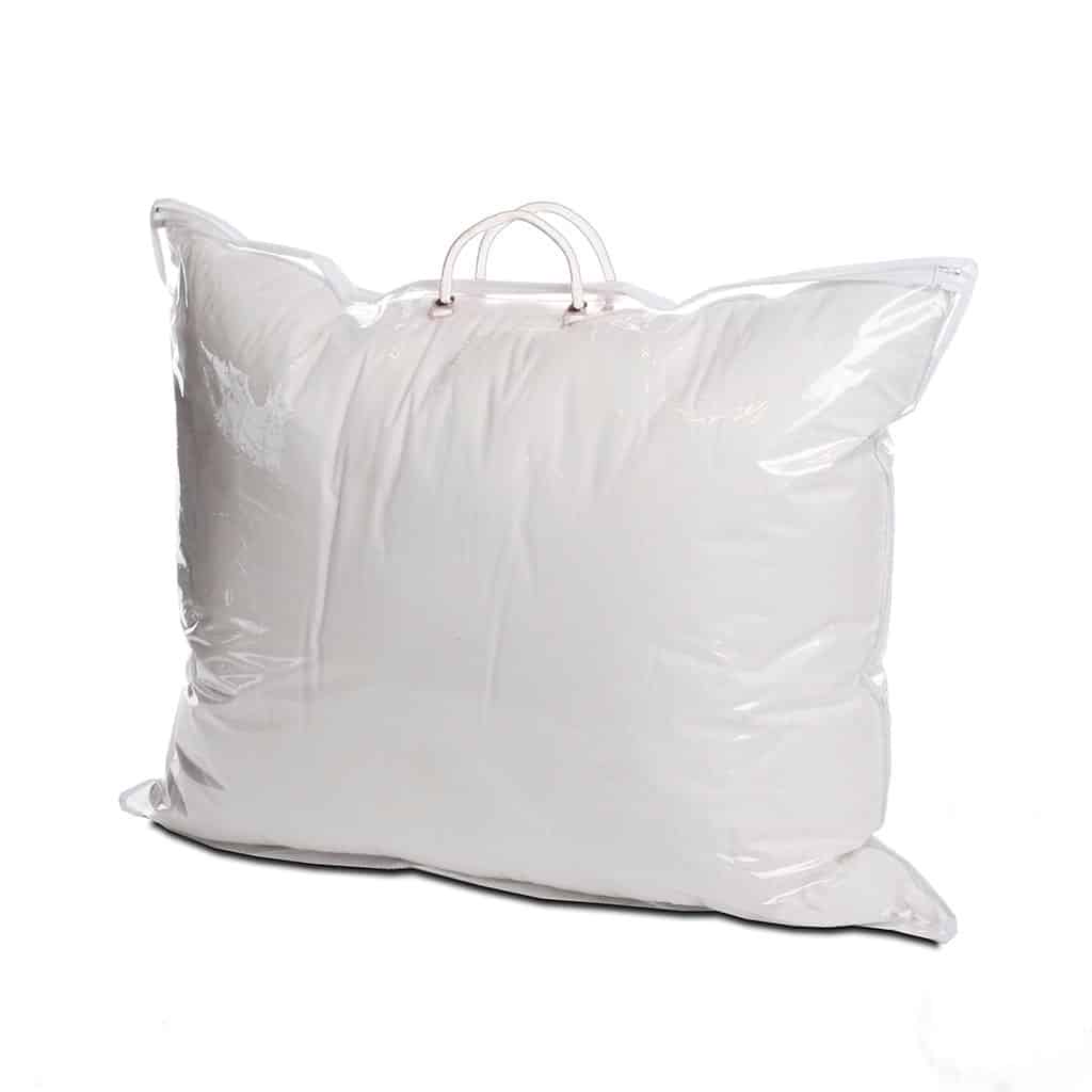 Transparent carrying bag with zipper